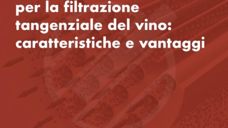 The ceramic membranes for the wine crossflow filtering: characteristics and advantages