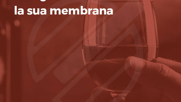 Any wine has its membrane